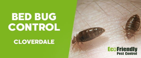 Bed Bug Control  Cloverdale