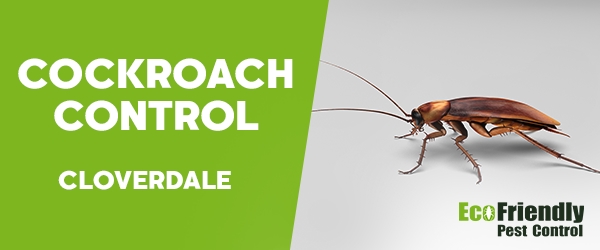 Cockroach Control  Cloverdale 