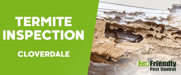 Termite Inspection  Cloverdale