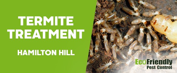 Termite Control  Hamilton Hill 