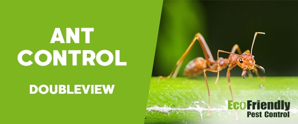 Ant Control Doubleview