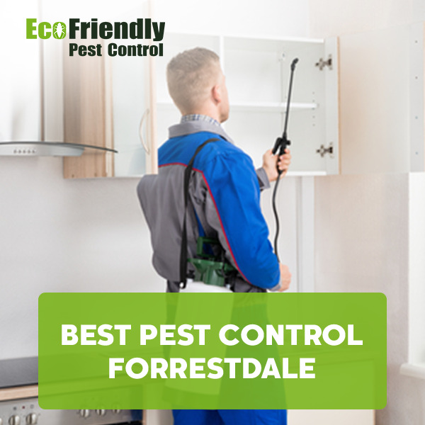Best Pest Control  Forrestdale 