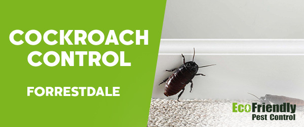 Cockroach Control  Forrestdale  