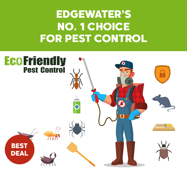 Pest Control Edgewater