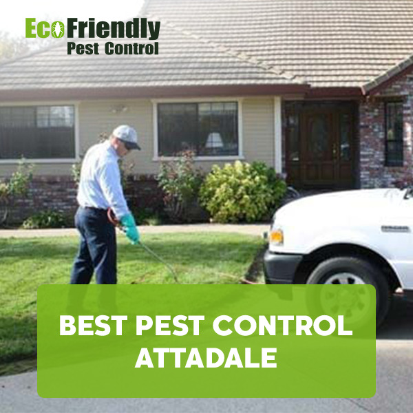 Best Pest Control  Attadale 