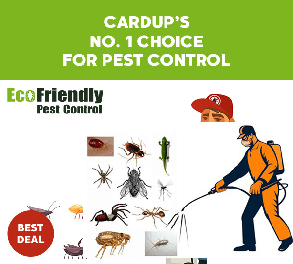 Pest Control Cardup 